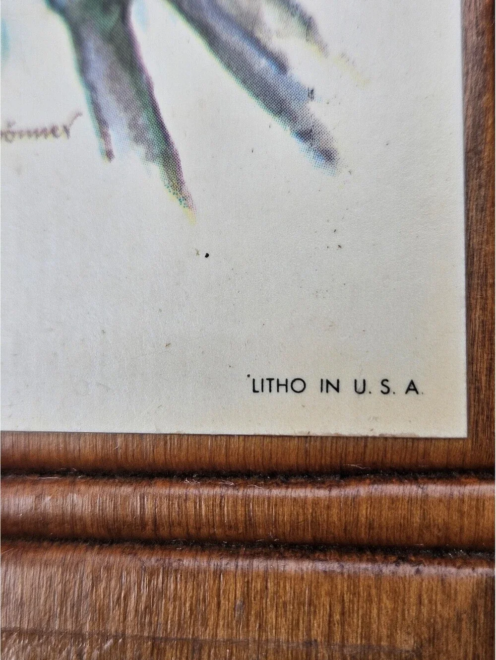 Vintage 1956 Ph. Gomner Cardinal Bird Wood Wall Hanging Memo Board Cork